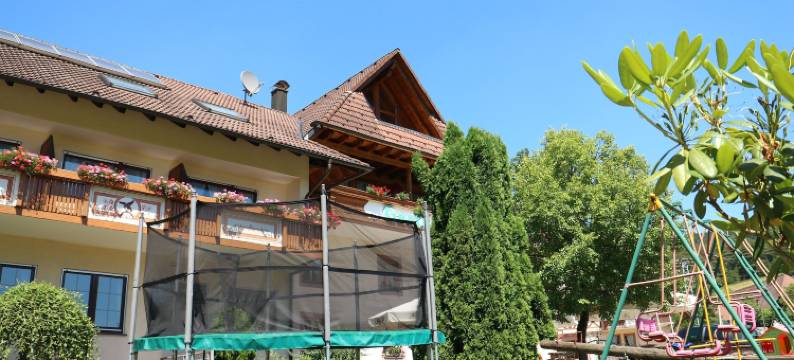 佩尔兹老磨坊乡村旅馆(Landgasthof Adler Pelzmühle)图片