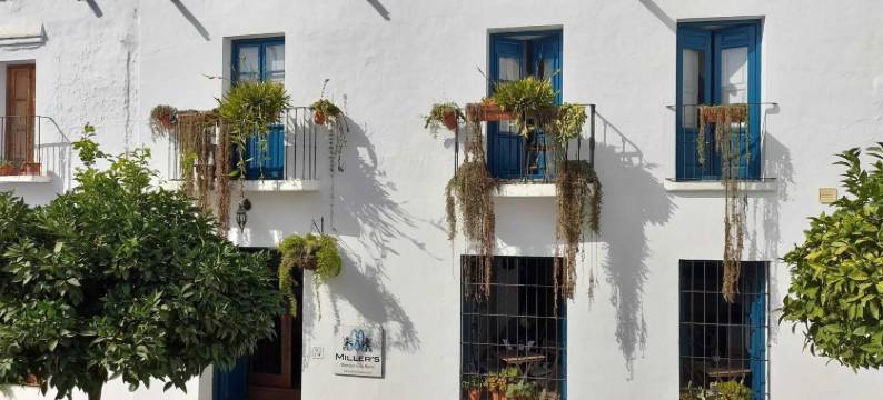 弗里希利亚纳米勒酒店(Casa Rural Miller's of Frigiliana)图片