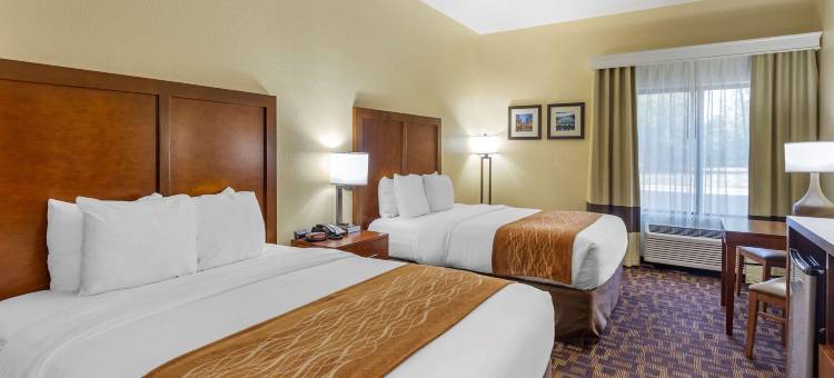 北奥罗拉-内珀维尔舒适套房酒店(Comfort Inn & Suites North Aurora - Naperville)图片