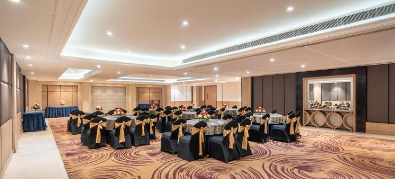 古尔冈丽柏酒店(Park Inn Gurgaon)图片