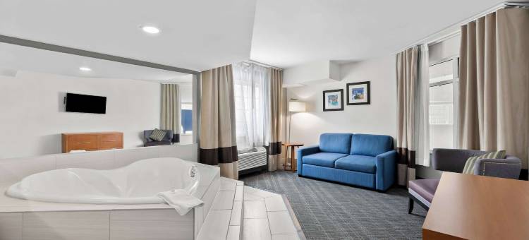 舒适酒店及套房纳什维尔 靠近Tanger Outlets I-24 安提阿克(Comfort Inn & Suites Nashville Near Tanger Outlets I-24 Antioch)图片