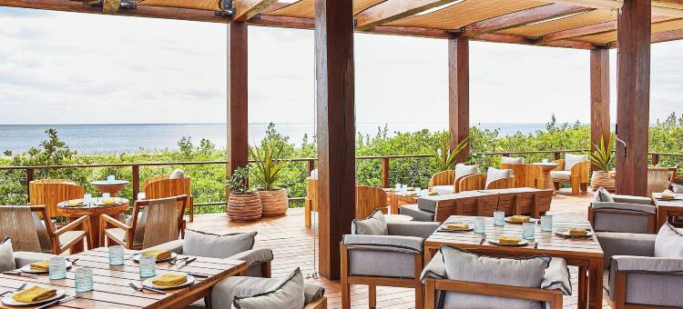 埃特雷奥酒店-阿尔伯格度假村精选(Etéreo, Auberge Resorts Collection)图片