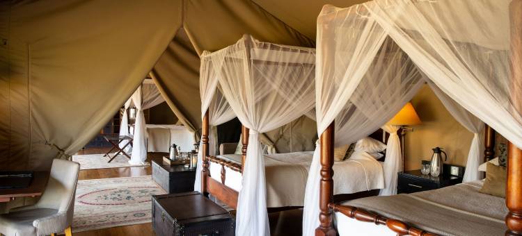 艾勒瓦纳沙河马赛伊马拉酒店(Elewana Sand River Masai Mara)图片