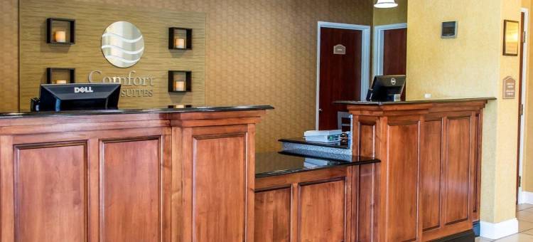 富兰克林东部舒适套房酒店(Comfort Inn & Suites Franklin East)图片