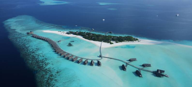 可可岛康姆酒店(COMO Cocoa Island)图片