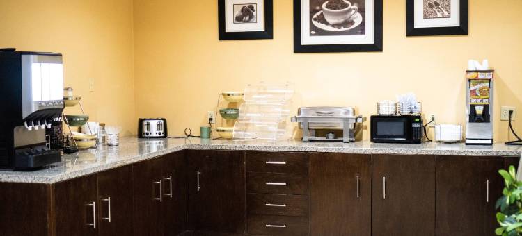 罗德威套房酒店(Rodeway Inn & Suites)图片