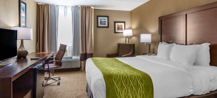 爱迪生新不伦瑞克舒适酒店(Comfort Inn Edison - New Brunswick)图片