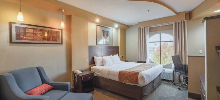 舒适套房酒店-佩里斯堡托莱多南(Comfort Suites Perrysburg - Toledo South)图片