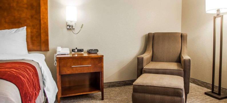 南马歇尔镇舒适酒店(Comfort Inn Marshalltown South)图片