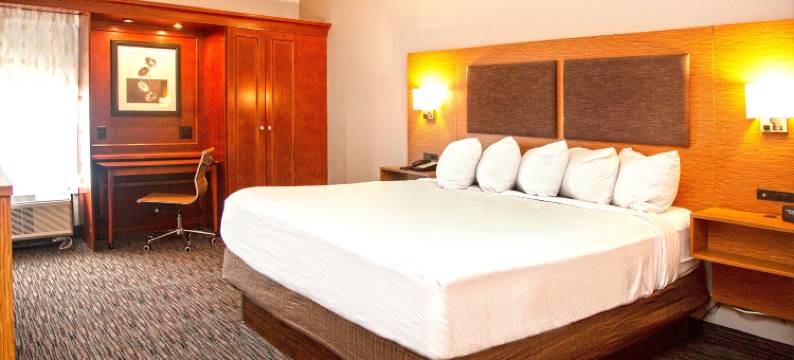 美居套房酒店-斯普林菲尔德 IL(MainStay Suites Springfield IL)图片