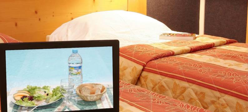 洛特河布里特酒店(Brit Hotel Vallee du Lot)图片