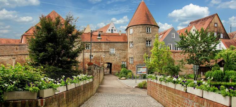 多瑙河之星公寓式酒店(Aparthotel Donaustern)图片