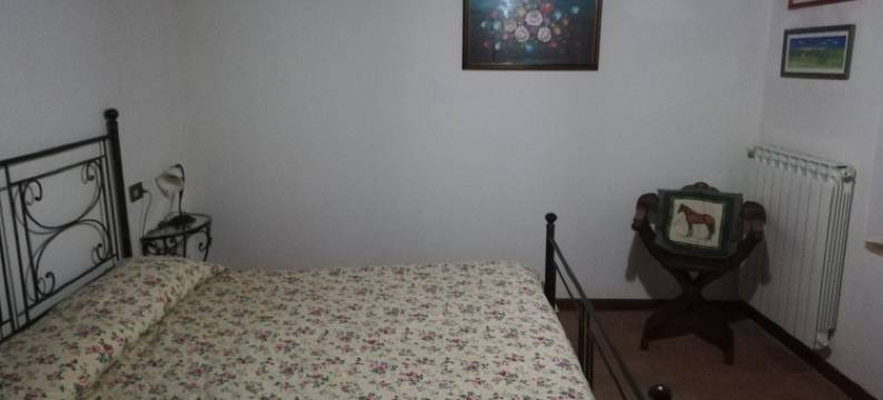 辛西亚诺农庄酒店(Agriturismo Sinciano)图片