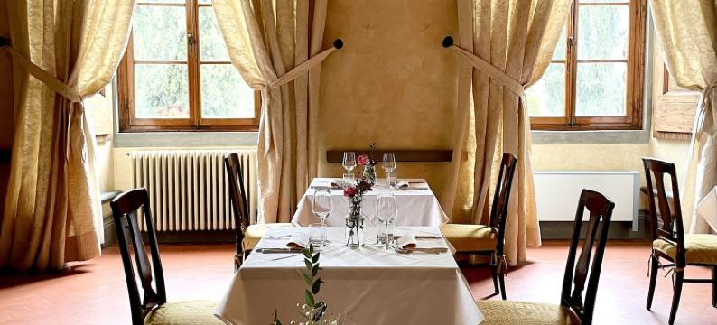 威驰优玛叶儿城堡酒店(Castello Vicchiomaggio)图片