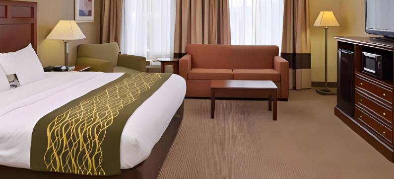 迪克森舒适酒店(Comfort Inn)图片