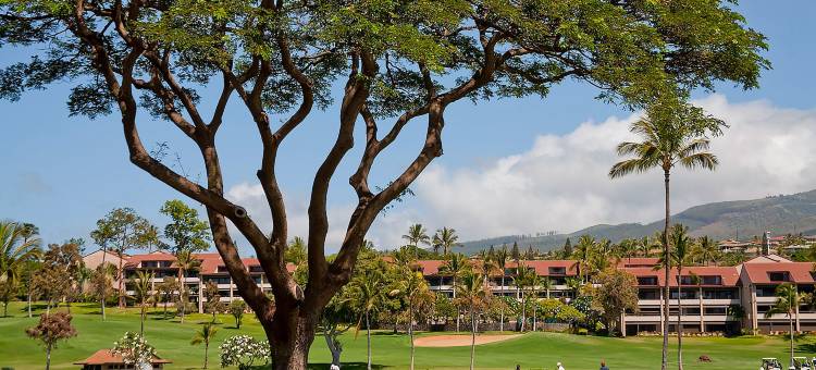 阿斯顿卡纳帕利海滩惠勒酒店(Aston at the Whaler on Kaanapali Beach)图片
