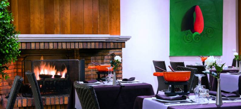 马尔利奥布洛斯别墅Spa酒店(Hotel & Spa Vacances Bleues Villa Marlioz)图片