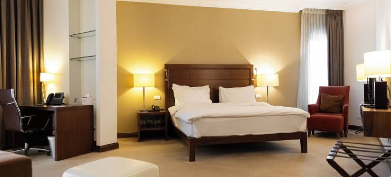 巴勒斯坦拉姆安拉千禧酒店(Millennium Palestine Ramallah)图片