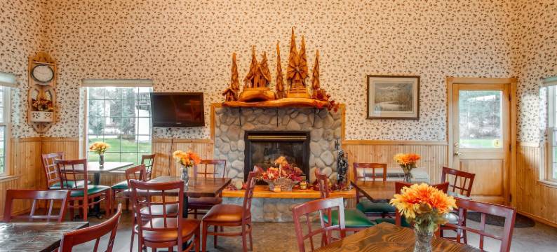 德尔利特霍夫旅馆(Der Ritterhof Inn)图片