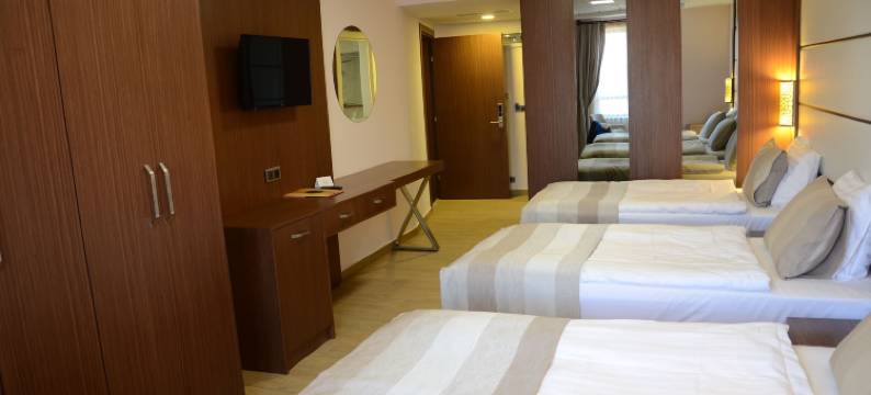 萨法皇家博物馆酒店(Safa Royal Museum Hotel)图片