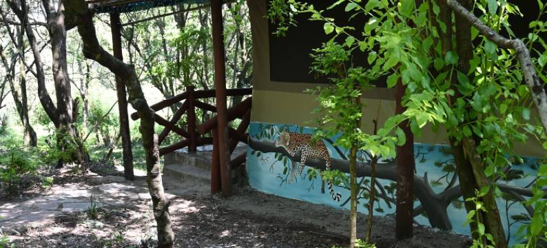 醉象马拉野生动物园(Drunken Elephant Mara)图片