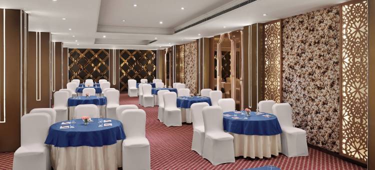 德文彻萨罗瓦波蒂科帕特尔纳加尔(Deventure Sarovar Portico Patel Nagar)图片