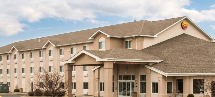 迪蒙代尔舒适套房酒店(Comfort Inn & Suites Dimondale - Lansing)图片