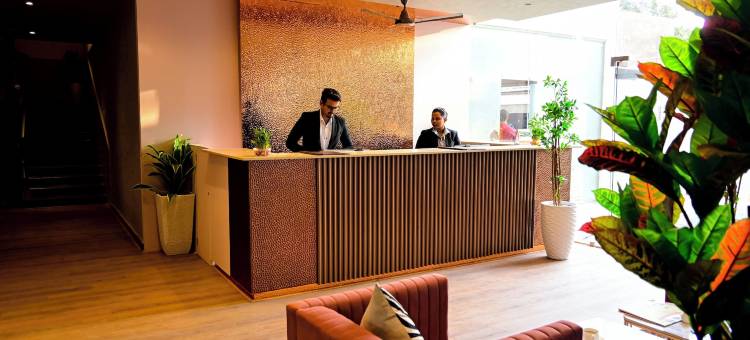 山坡酒店(Hillside Hotel)图片