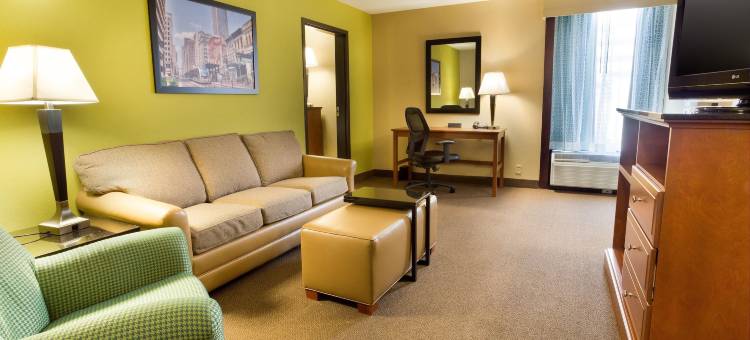 休斯顿加勒里亚德鲁里套房酒店(Drury Inn & Suites Houston Galleria)图片