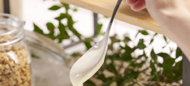 格劳生态精品旅馆(Eco Boutique Hostal Grau)图片