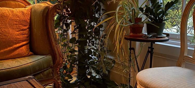 雅高旅馆(Argos Inn - Ithaca's Boutique Hotel)图片