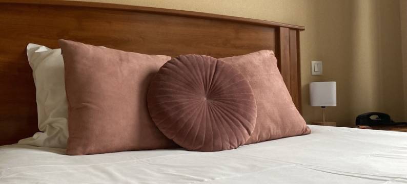 Logis Hôtel Restaurant Spa le Tosny图片