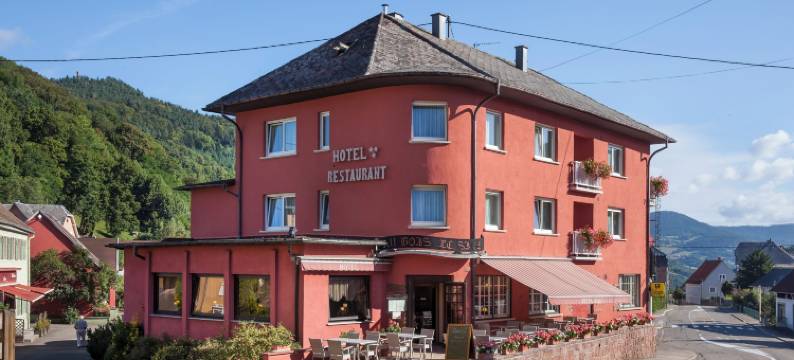 森林陛下之家客栈汽车旅馆(Logis Hostellerie Motel Au Bois le Sire)图片