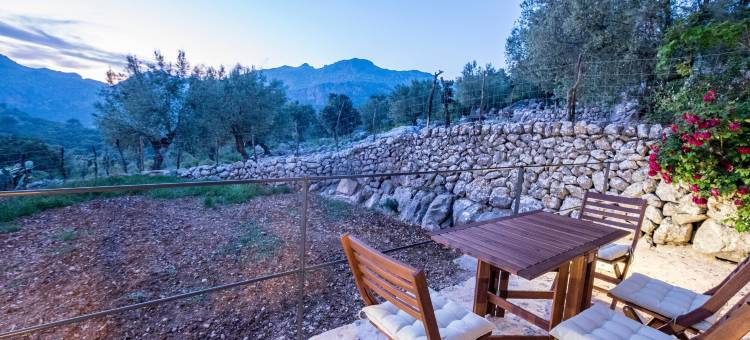 松阿尔兹内斯农家乐(Agroturismo Son Alzines)图片