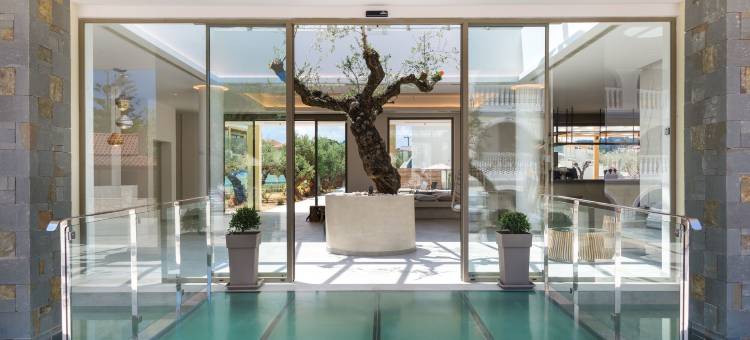 察米斯桑特套房酒店 - 限成人(Tsamis Zante Suites - Adults Only)图片