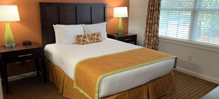 威廉斯堡度假乡村旅馆(Vacation Village at Williamsburg)图片