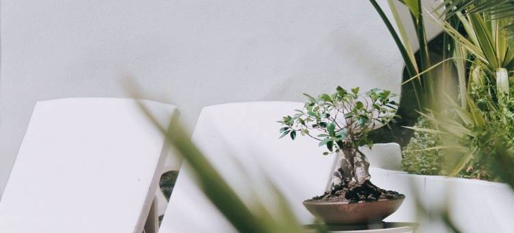 Elysium餐厅及精品酒店(Elysium Luxury Stays & Restaurant)图片