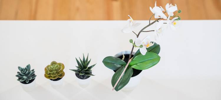 GuestReady - A lovely city retreat图片