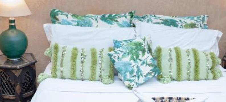 里亚德达尔突西亚酒店(Riad Dar Tuscia)图片