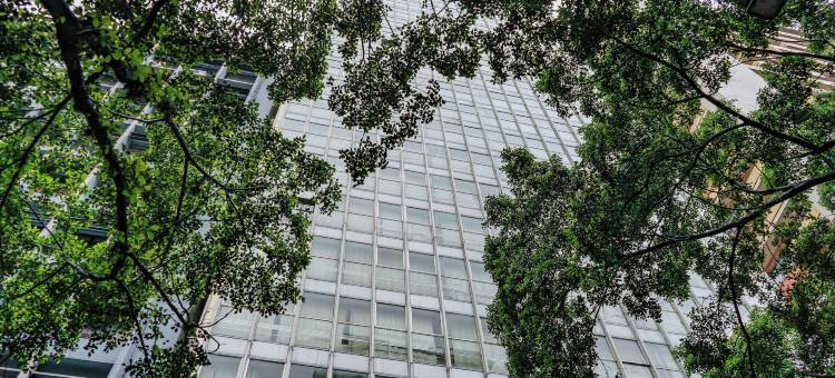 丹茵快捷酒店阿雷格里港由Nacional Inn管理(Hotel Dan Inn Express Porto Alegre - Próximo ao Complexo Hospitalar Santa Casa e Ufrgs)图片