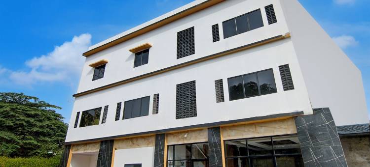 Collection O 94762 星光(Collection O 94762 Starlight)图片