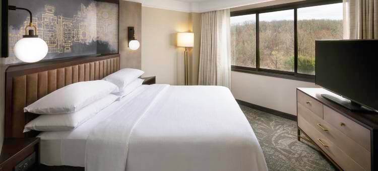 希尔顿安泊酒店-泰森斯角(Embassy Suites by Hilton Tysons Corner)图片