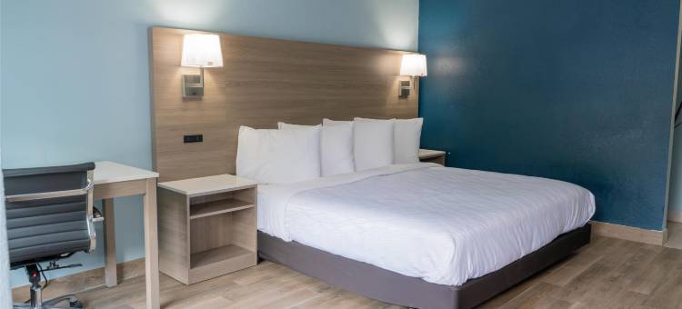 杰克逊维尔机场贝斯特韦斯特舒尔住宿酒店(Jax Airport Hotel)图片