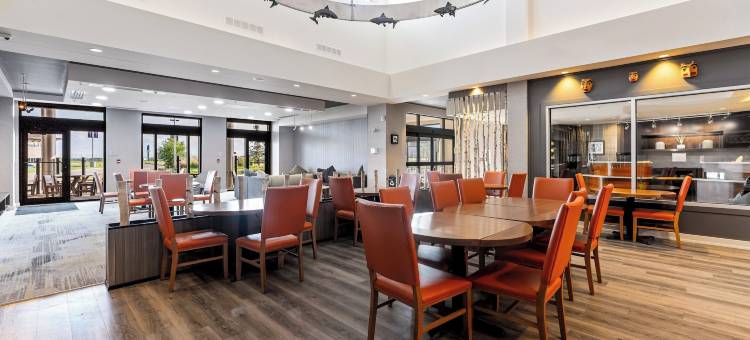 迪恩会议中心酒店(Hotel Dene & Conference Centre)图片