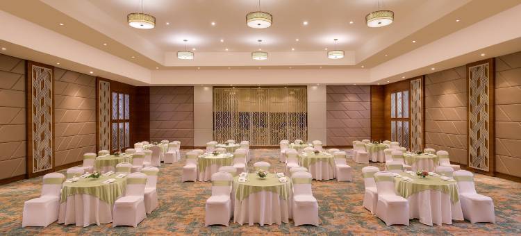 格拉齐亚中央兰花皇家酒店(Lemon Tree Premier, Navi Mumbai)图片