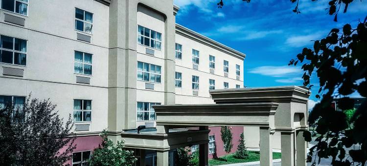 埃德蒙顿国际机场希尔顿欢朋套房酒店(Hampton Inn & Suites by Hilton Edmonton International Airport)图片