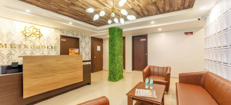 大都会商务酒店(Metropolis Business Hotel)图片