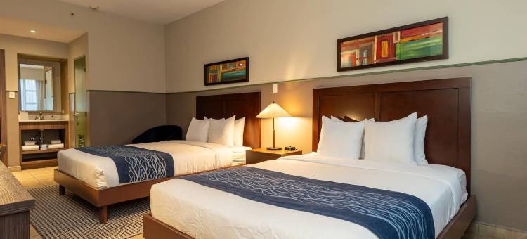 舒适套房酒店(Comfort Inn & Suites)图片