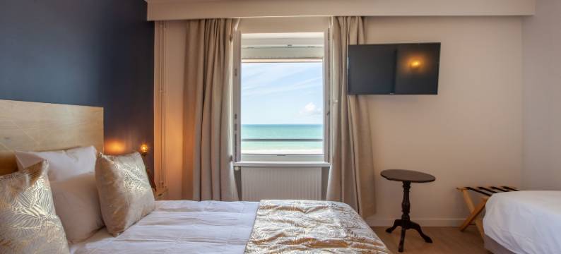 岛屿酒店(Hôtel des Isles)图片