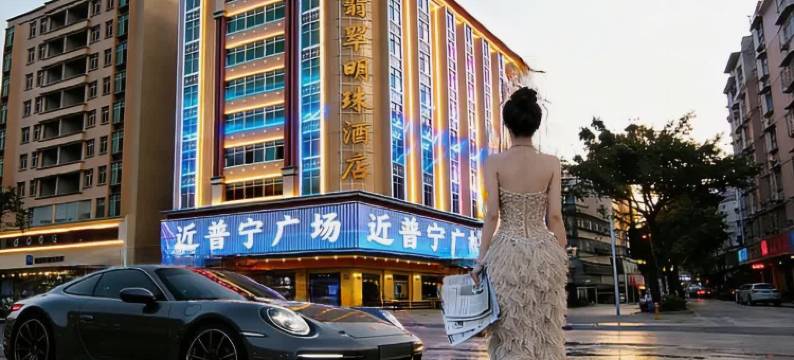 普宁•翡翠明珠丨传统古韵•文化新潮设计师大酒店(流沙人民公园店)图片